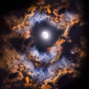 Meet your Posher, Kimberley